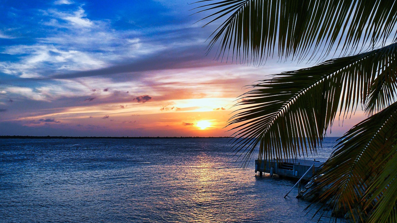 Ultimate 7-Day Adventure in Bonaire: Caves to Coral Reefs